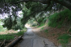 Enlarge photo 69