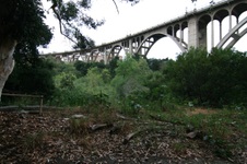 Enlarge photo 71