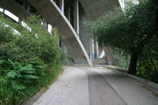 Enlarge photo 72
