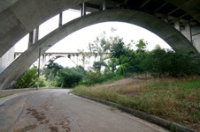 Enlarge photo 77