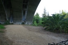 Enlarge photo 81