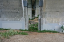 Enlarge photo 100