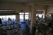 Enlarge photo 54