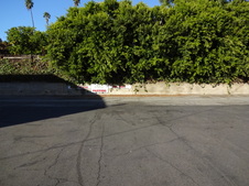 Enlarge photo 43