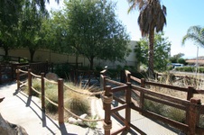 Enlarge photo 45