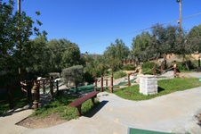 Enlarge photo 55
