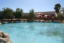Enlarge photo 81