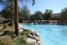 Enlarge photo 82