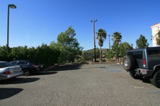 Enlarge photo 203