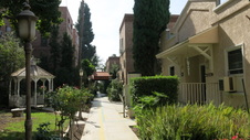Enlarge photo 41