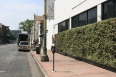 Enlarge photo 30