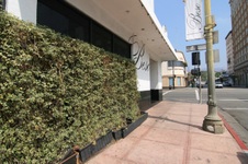 Enlarge photo 32