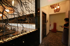 Enlarge photo 49