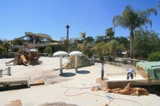 Enlarge photo 50
