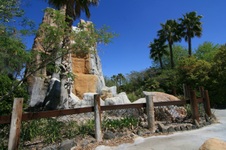 Enlarge photo 51