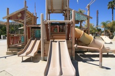 Enlarge photo 63
