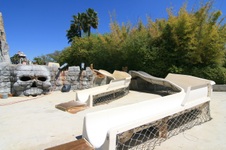 Enlarge photo 66