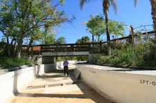 Enlarge photo 45