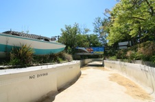 Enlarge photo 46