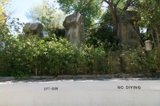 Enlarge photo 52
