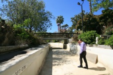 Enlarge photo 54