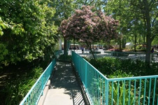 Enlarge photo 12