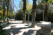 Enlarge photo 23