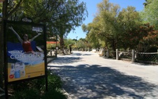 Enlarge photo 28