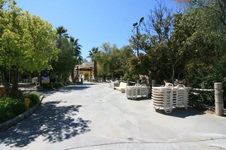 Enlarge photo 37