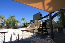 Enlarge photo 47