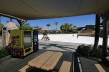 Enlarge photo 63