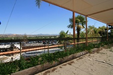 Enlarge photo 79
