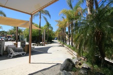 Enlarge photo 82