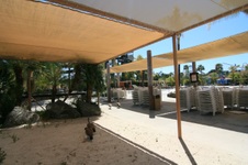 Enlarge photo 83