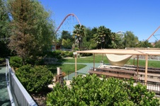 Enlarge photo 105