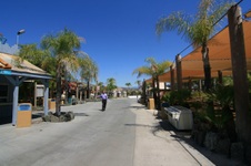 Enlarge photo 113