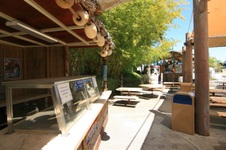 Enlarge photo 120