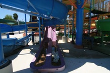 Enlarge photo 133