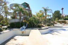 Enlarge photo 139