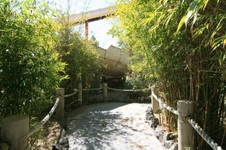 Enlarge photo 48