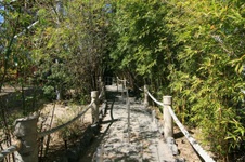 Enlarge photo 25