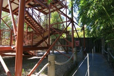 Enlarge photo 67