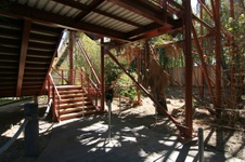 Enlarge photo 173