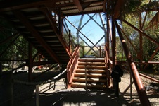 Enlarge photo 127