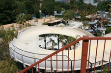 Enlarge photo 63