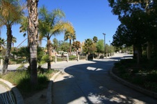 Enlarge photo 106