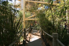 Enlarge photo 158