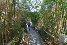 Enlarge photo 61