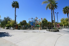 Enlarge photo 80
