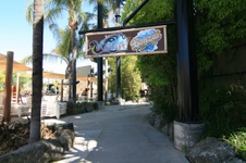 Enlarge photo 81